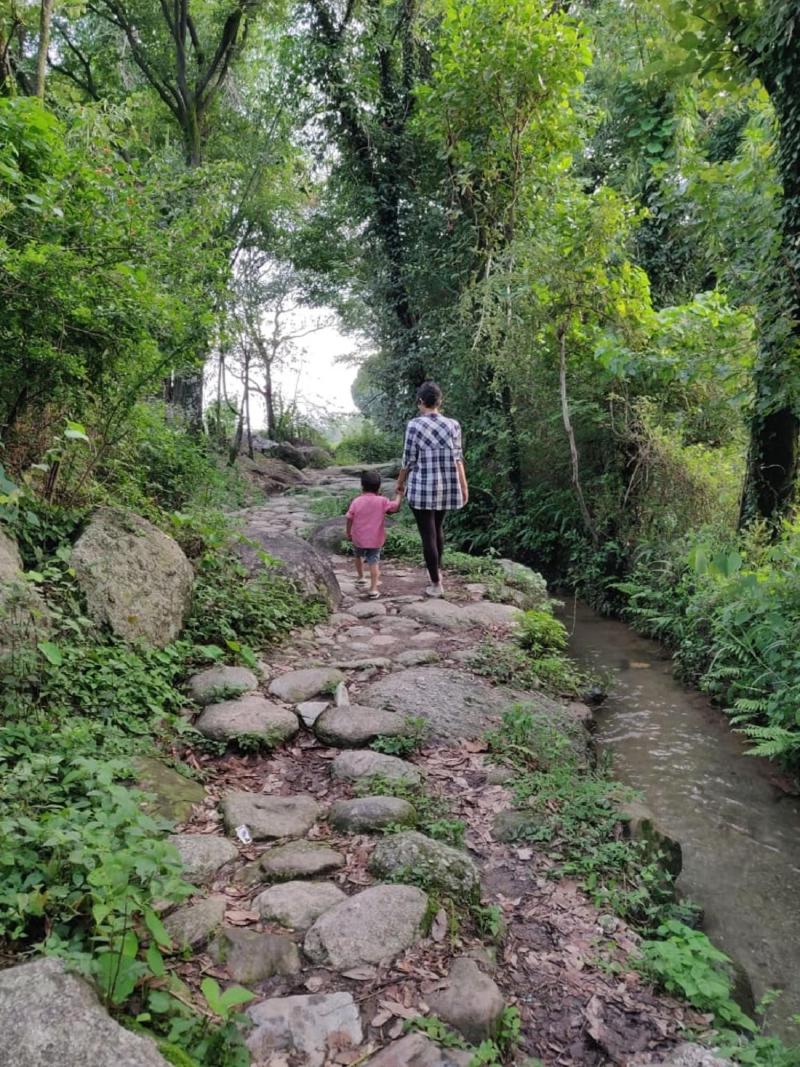 Dev Bhoomi Farms & Cottages image