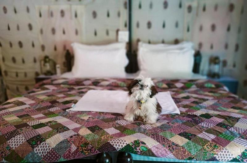 Dev Bhoomi Farms & Cottages image