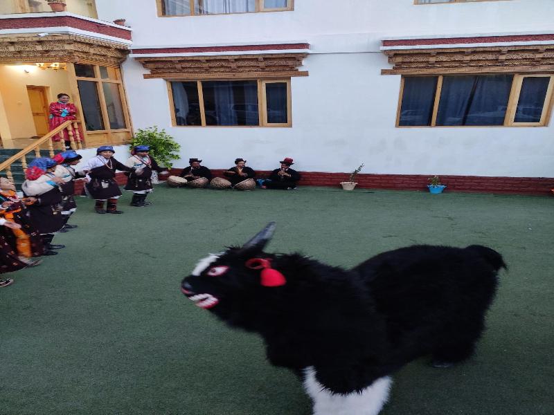 Hotel Ladakh Imperial image