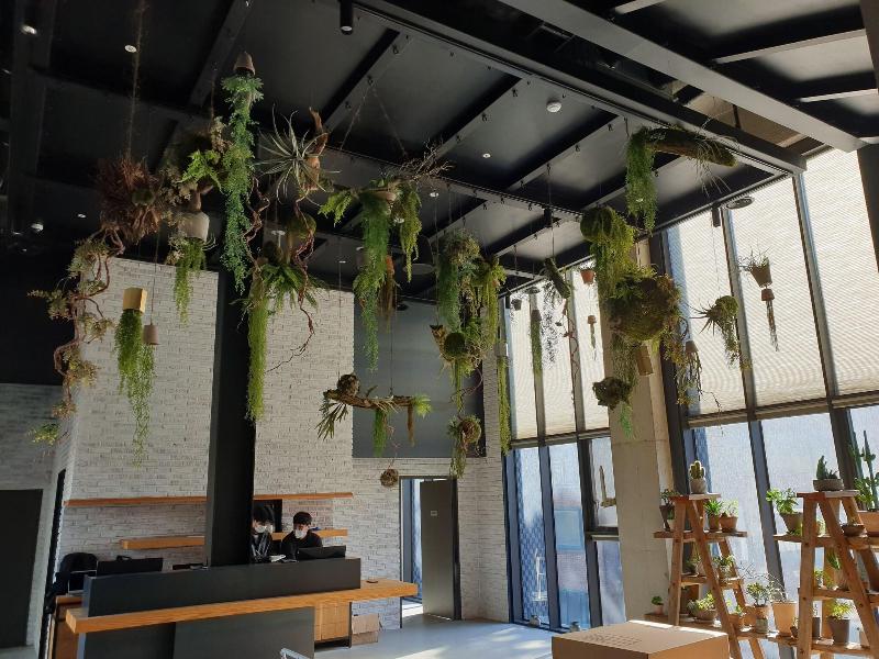 Junibino Hotel Hongdae image