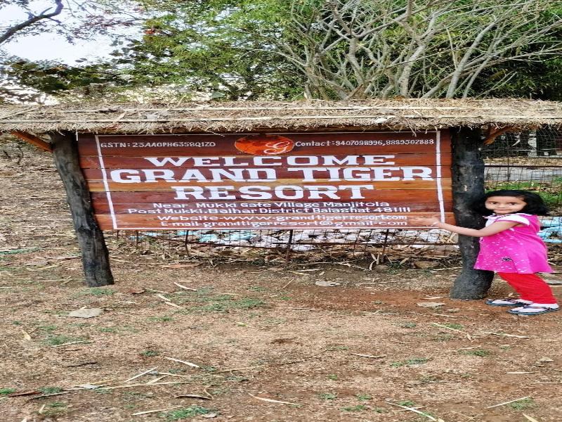 Grand Tiger Resort image