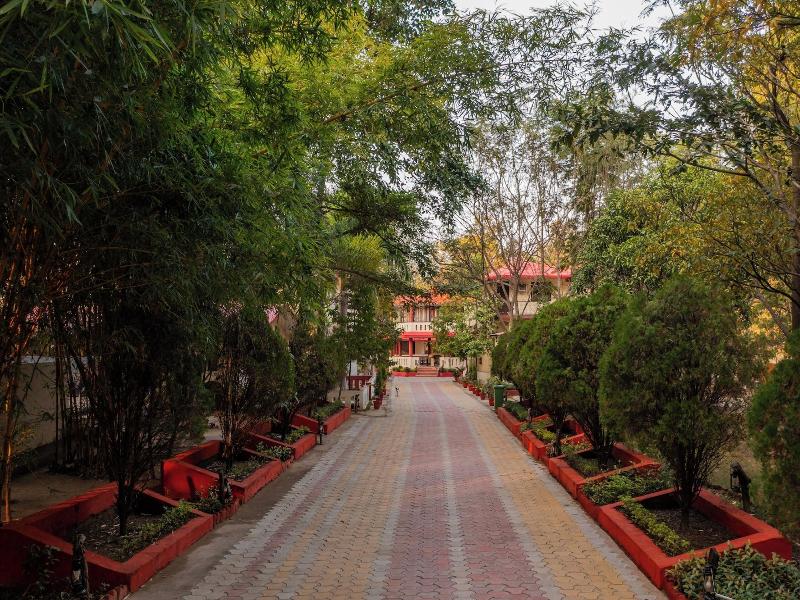 Grand Tiger Resort image