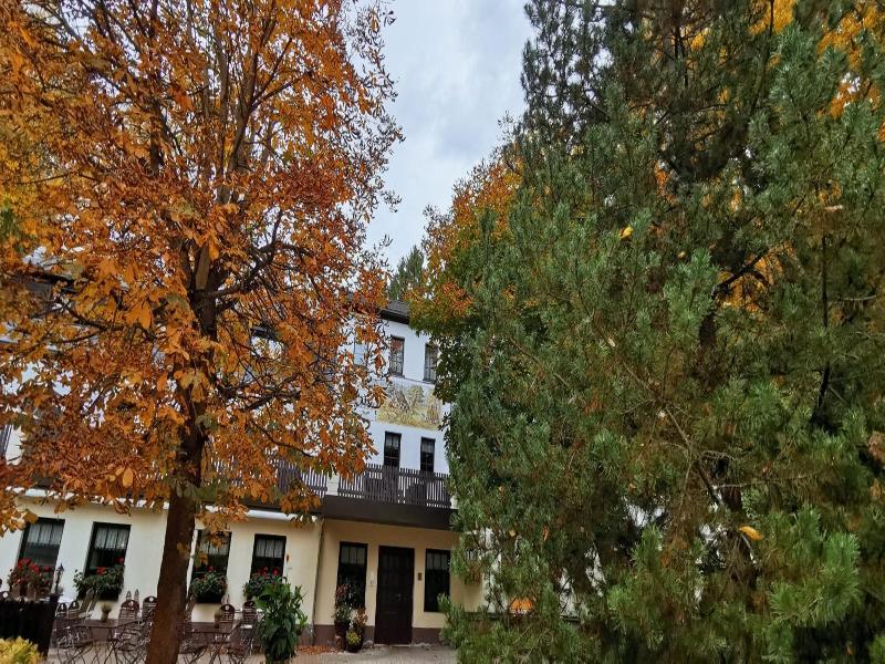 Waldgasthof Hotel Am Sauwald image