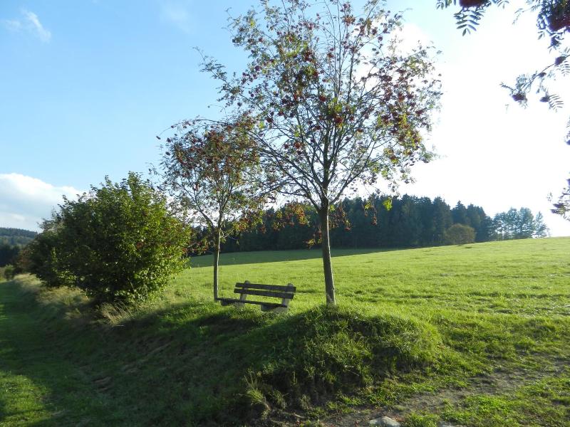 Waldgasthof Hotel Am Sauwald image