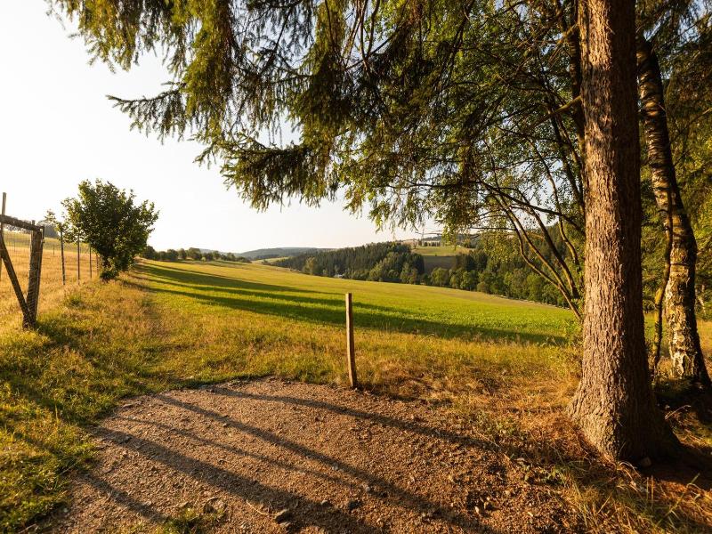Waldgasthof Hotel Am Sauwald image