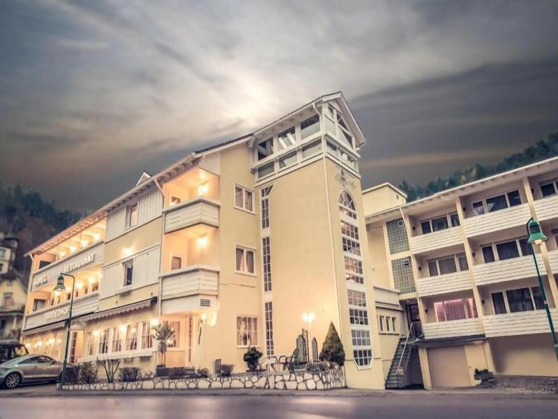 Hotel Tannenhof image