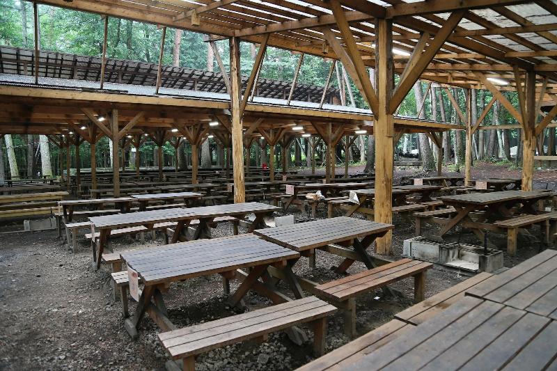 Shimizu Kuniakiâ€™s Paradise Of Forest And Lake image