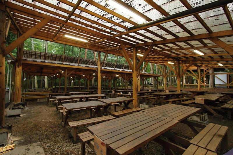 Shimizu Kuniakiâ€™s Paradise Of Forest And Lake image