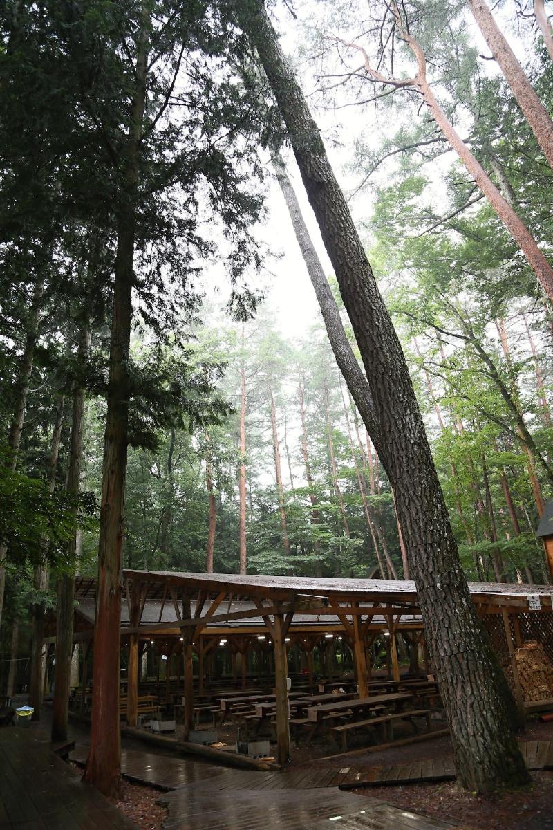 Shimizu Kuniakiâ€™s Paradise Of Forest And Lake image