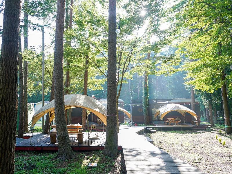 Shimizu Kuniakiâ€™s Paradise Of Forest And Lake image