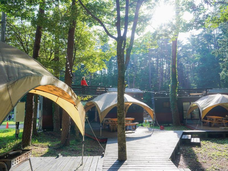 Shimizu Kuniakiâ€™s Paradise Of Forest And Lake image