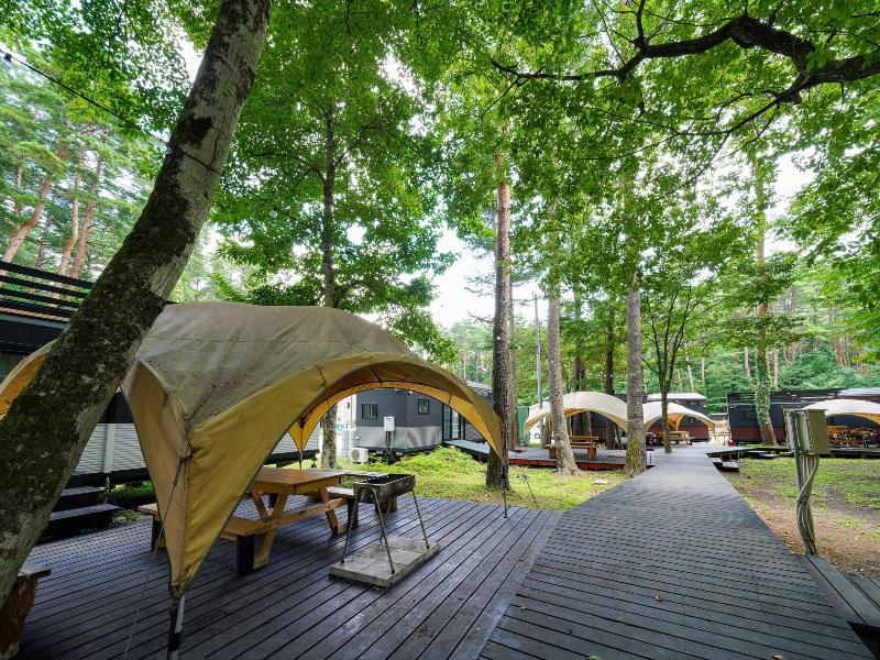 Shimizu Kuniakiâ€™s Paradise Of Forest And Lake image