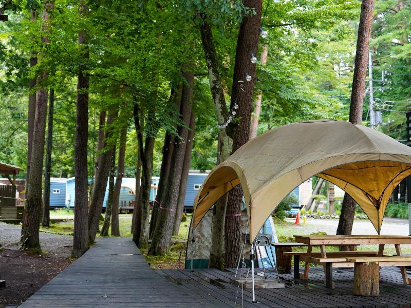 Shimizu Kuniakiâ€™s Paradise Of Forest And Lake image