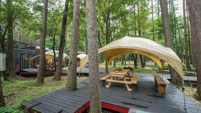 Shimizu Kuniakiâ€™s Paradise Of Forest And Lake image