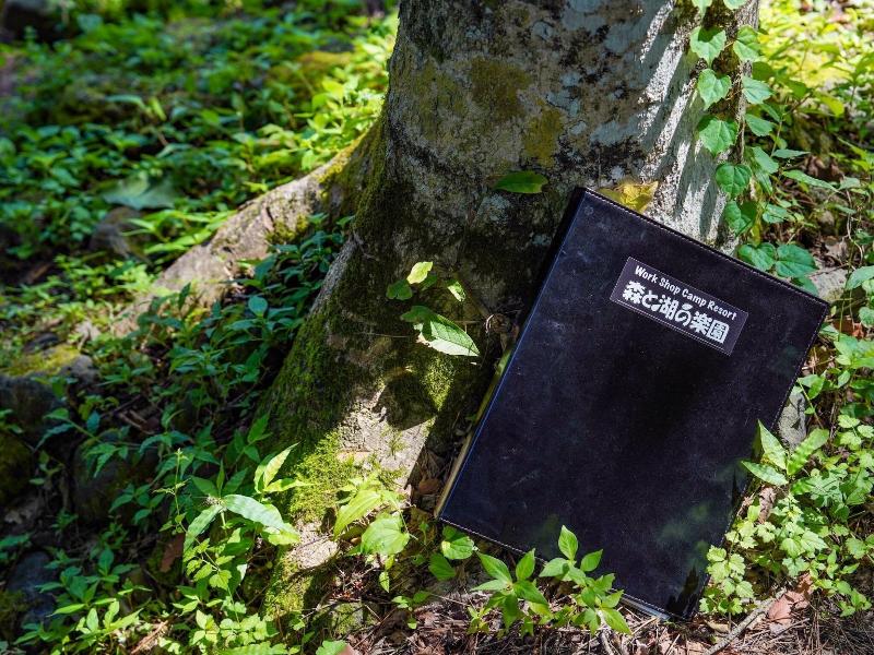 Shimizu Kuniakiâ€™s Paradise Of Forest And Lake image