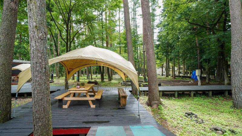 Shimizu Kuniakiâ€™s Paradise Of Forest And Lake image