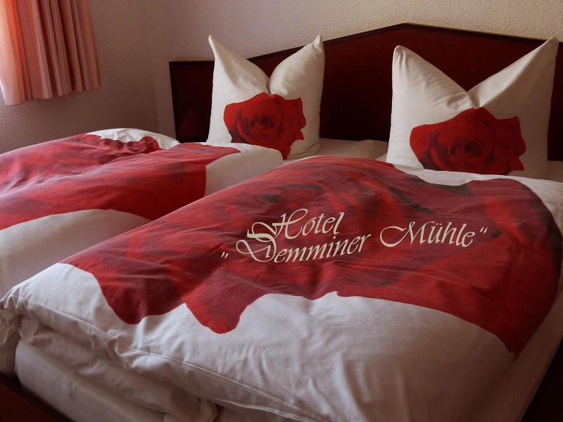 Hotel Demminer Mv Hle image