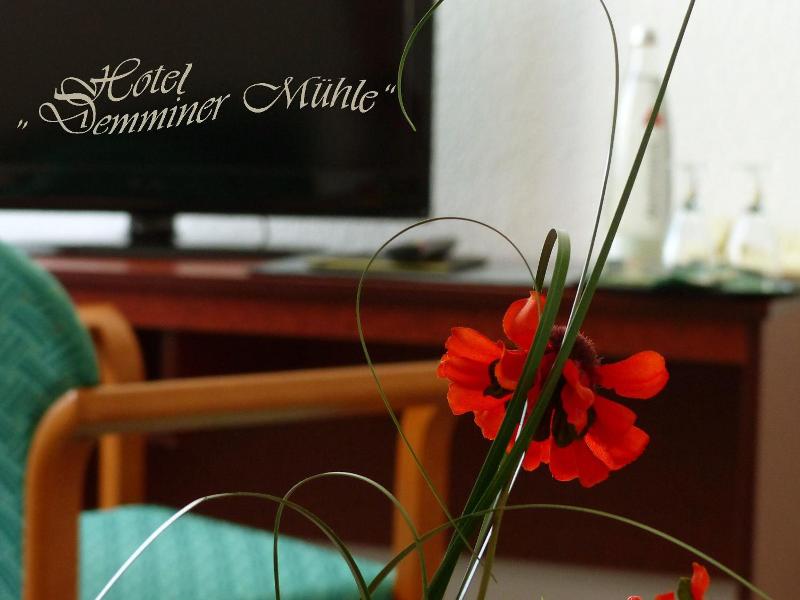 Hotel Demminer Mv Hle image