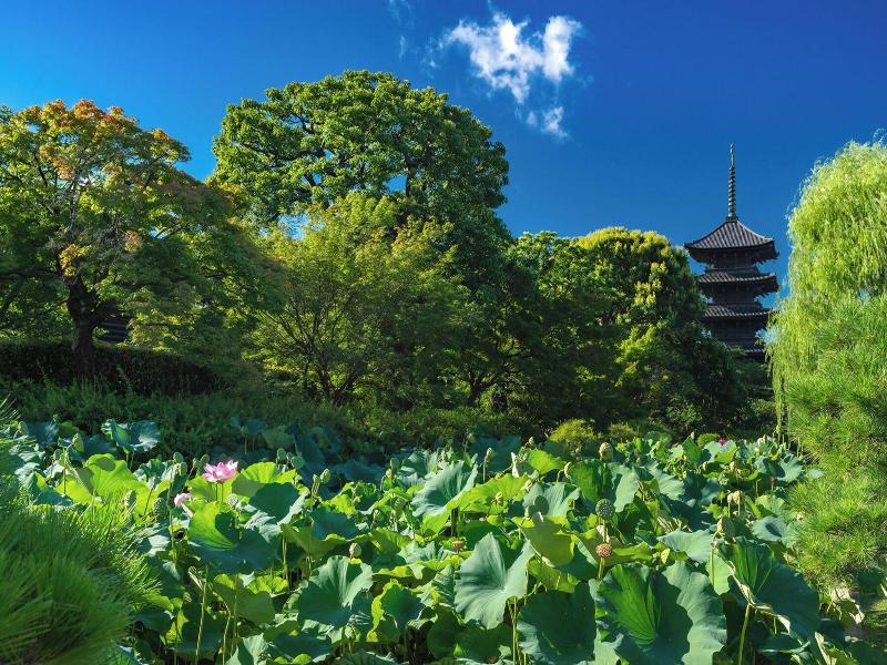 Omo3 Kyoto Toji By Hoshino Resorts image