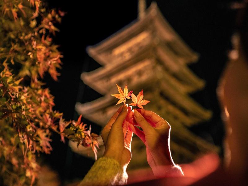 Omo3 Kyoto Toji By Hoshino Resorts image
