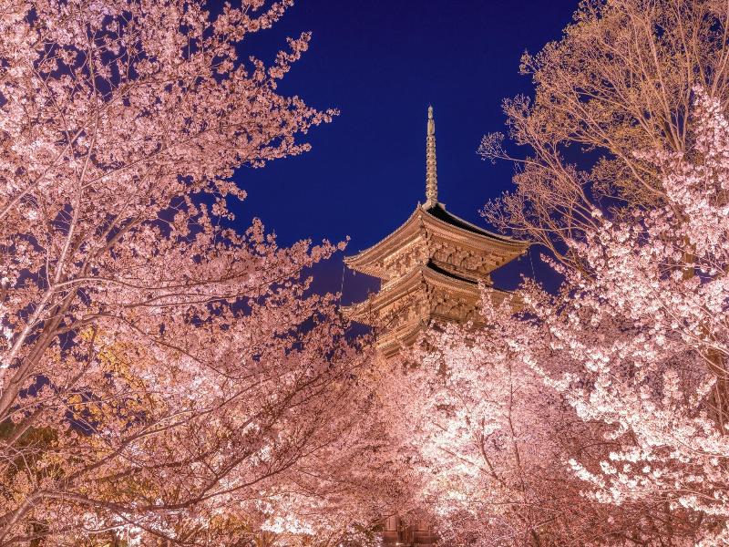 Omo3 Kyoto Toji By Hoshino Resorts image