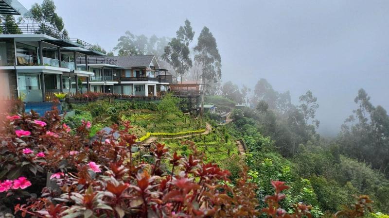 Chandys Drizzle Drops — general view