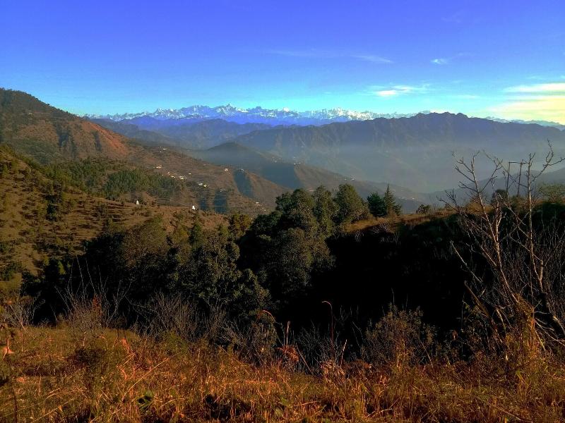 In Apple Estate Kanatal