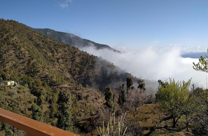 In Apple Estate Kanatal