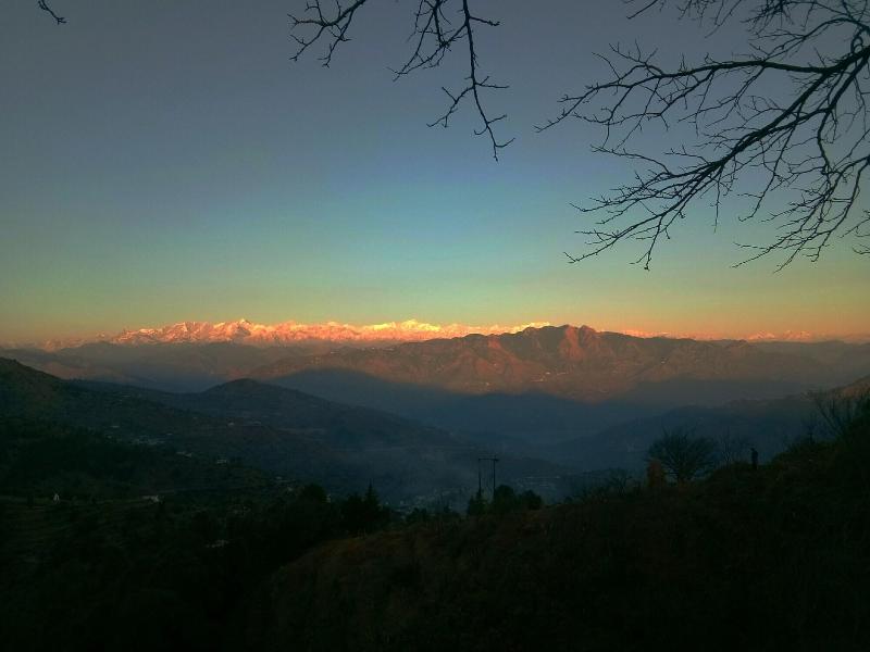 In Apple Estate Kanatal