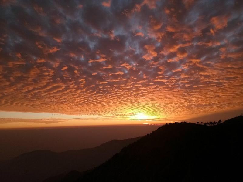 In Apple Estate Kanatal