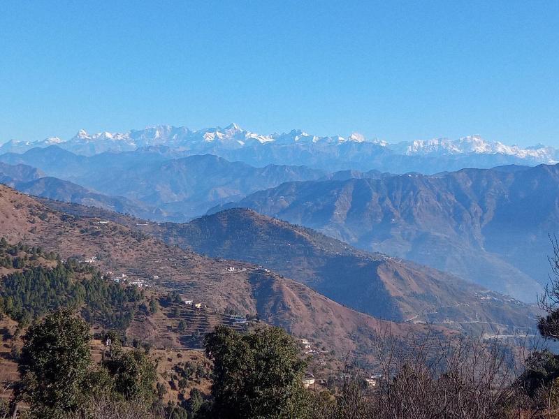 In Apple Estate Kanatal