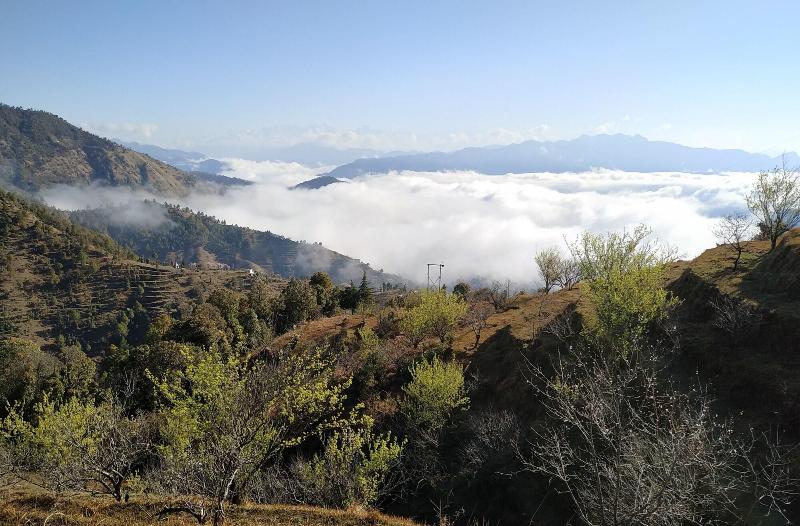 In Apple Estate Kanatal