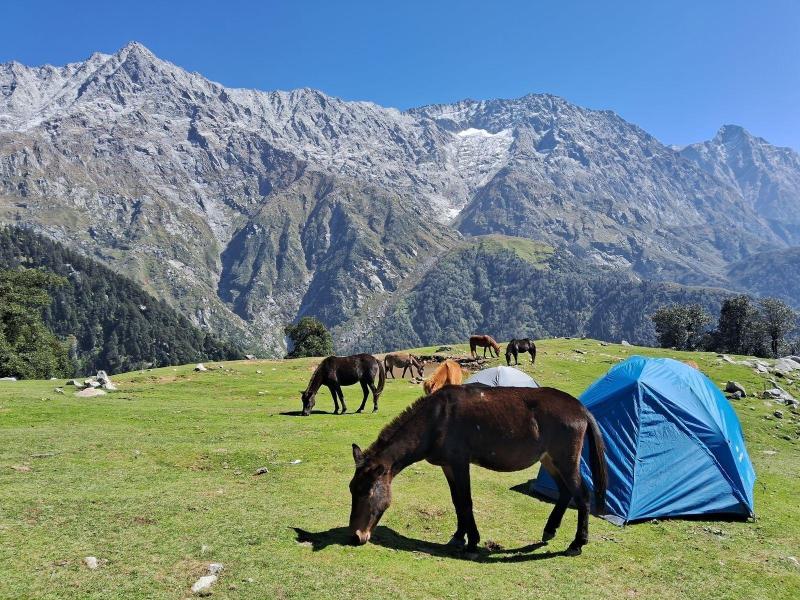 Hostel Hikers World image