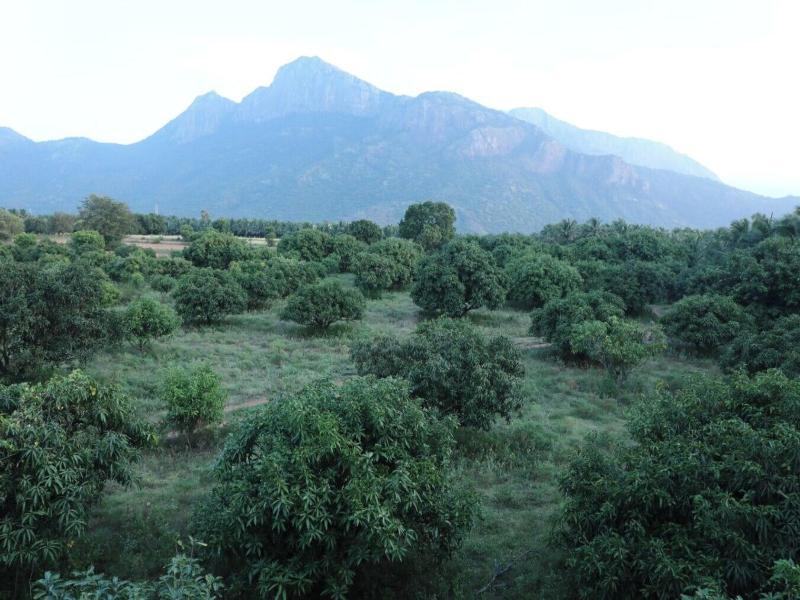 Green Mount Resorts image