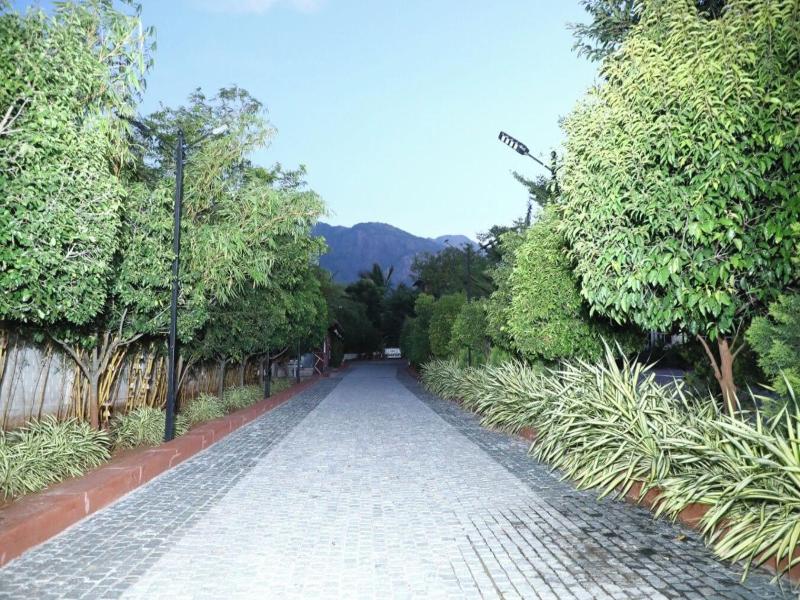 Green Mount Resorts image