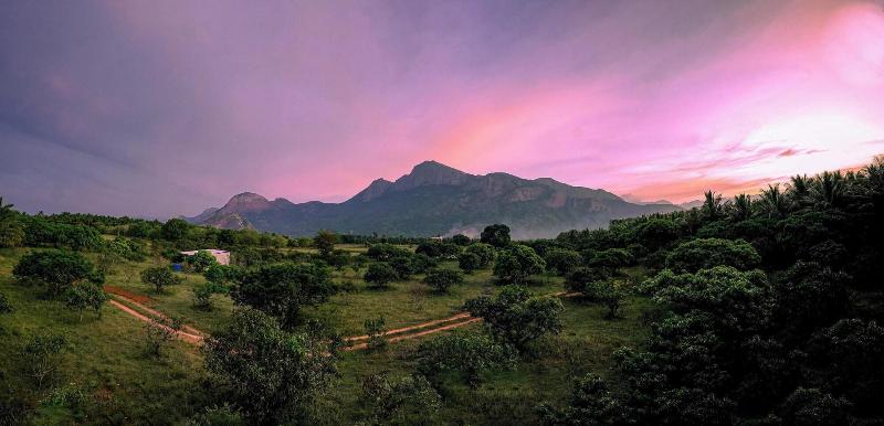 Green Mount Resorts image