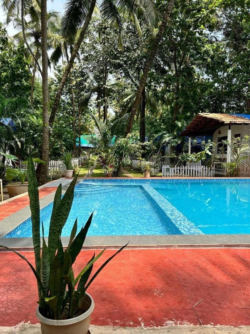 Kings Villa Resort image