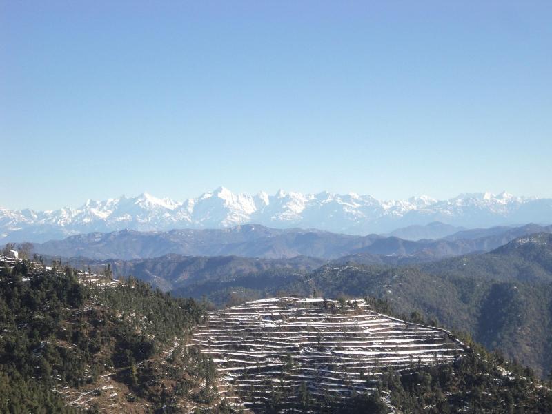 Panchachuli House image