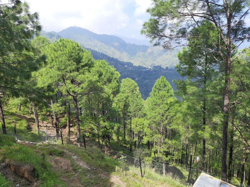 The Woods Retreat — general view