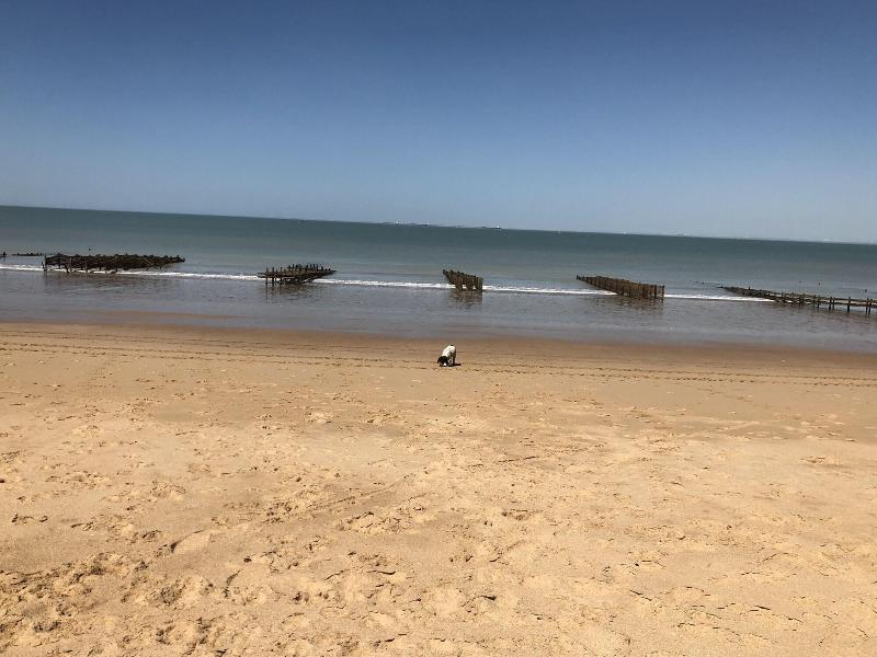 Les Geais image