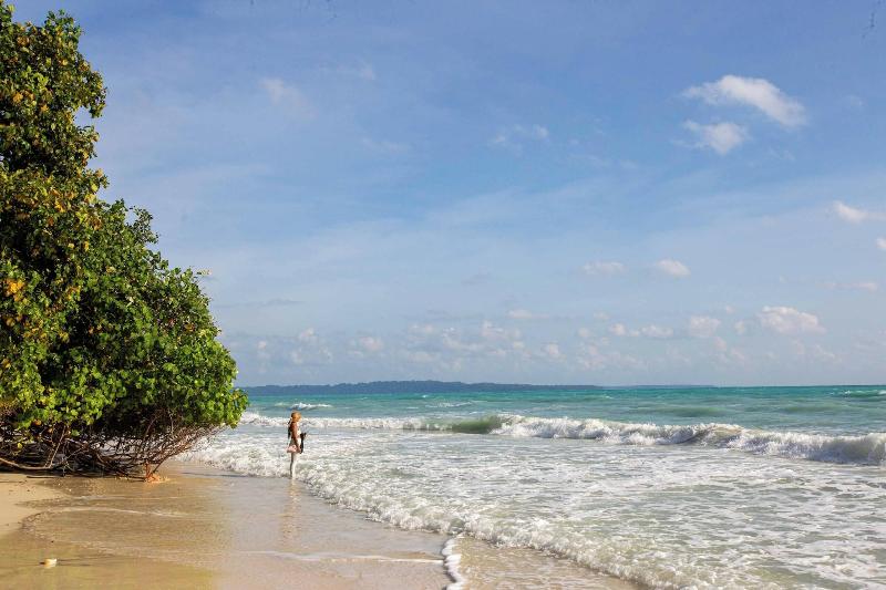 Coral Reef Resort & Spa, Havelock image