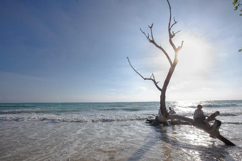 Coral Reef Resort & Spa, Havelock image