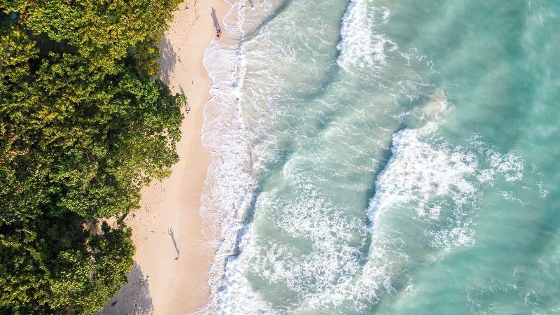 Coral Reef Resort & Spa, Havelock image