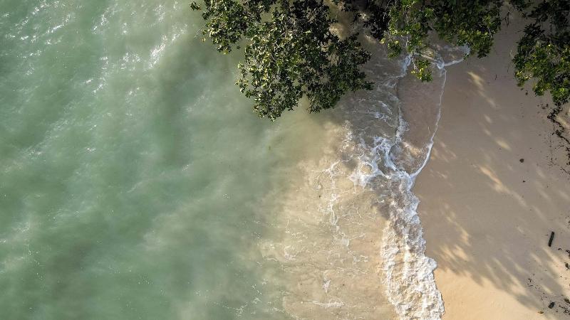 Coral Reef Resort & Spa, Havelock image