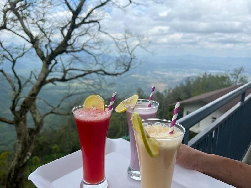 Chill Berg Resort - Bodimettu image