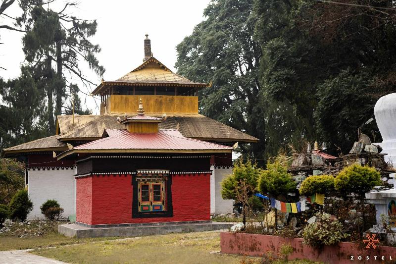 Zostel Rinchenpong (pelling) image