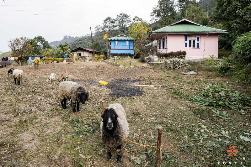 Zostel Rinchenpong (pelling) image