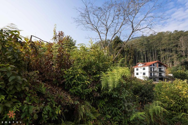 Zostel Rinchenpong (pelling) image