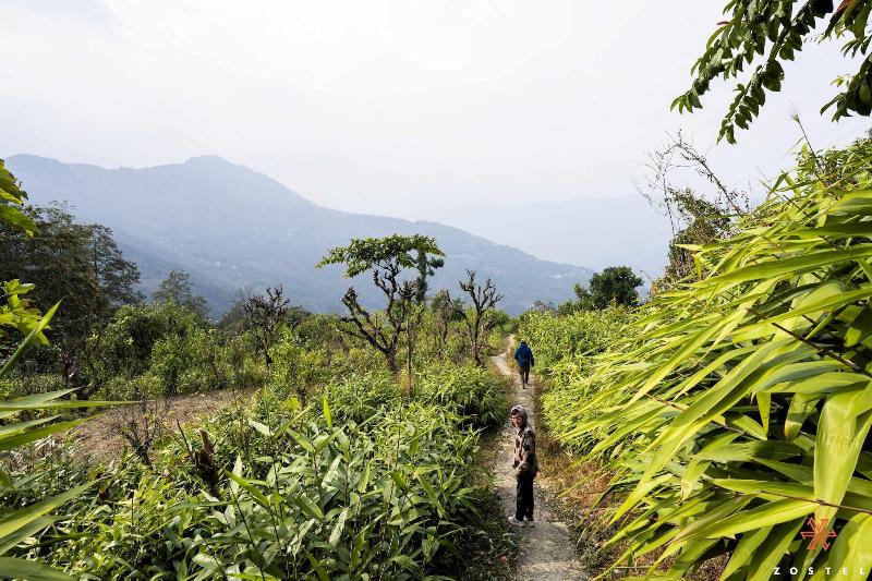 Zostel Rinchenpong (pelling) image