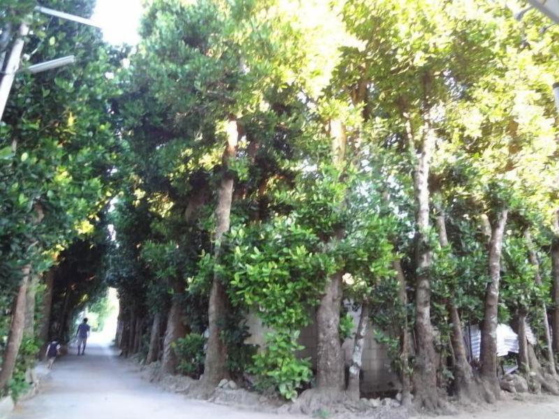 Bise House image